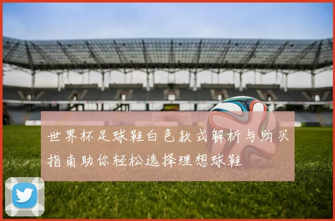 世界杯足球鞋白色款式解析与购买指南助你轻松选择理想球鞋