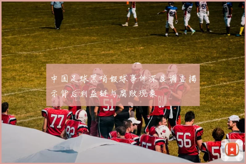 中国足球黑哨假球事件深度调查揭示背后利益链与腐败现象