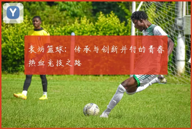 袁坊篮球：传承与创新并行的青春热血竞技之路